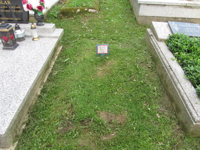 Grób Alfreda Nogowczyk