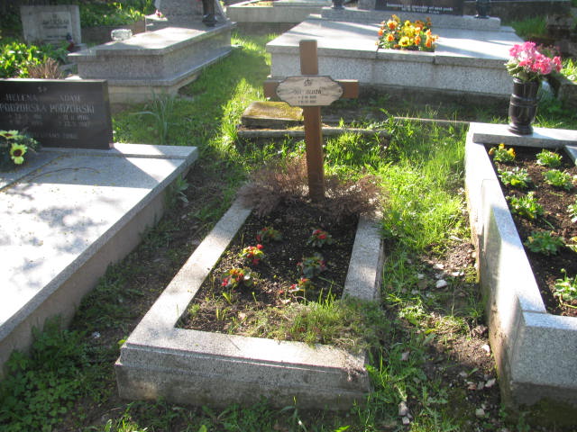 Grób Alojzy Procner