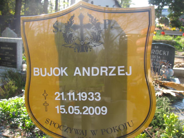 Andrzej Bujok 1933 Wisła ewangelicki - Grobonet - Wyszukiwarka osób pochowanych