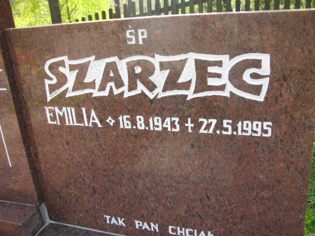 Grób Jan Szarzec