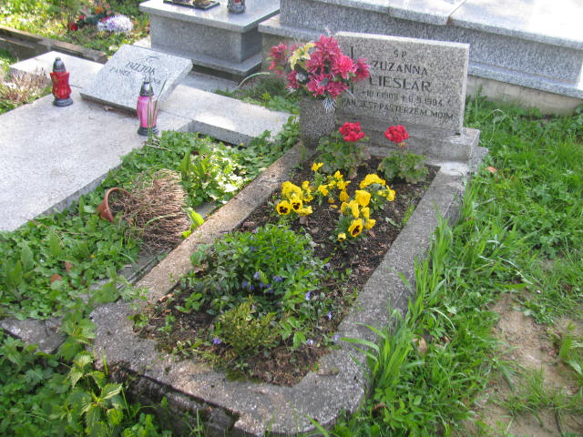 Grób Halina Polok