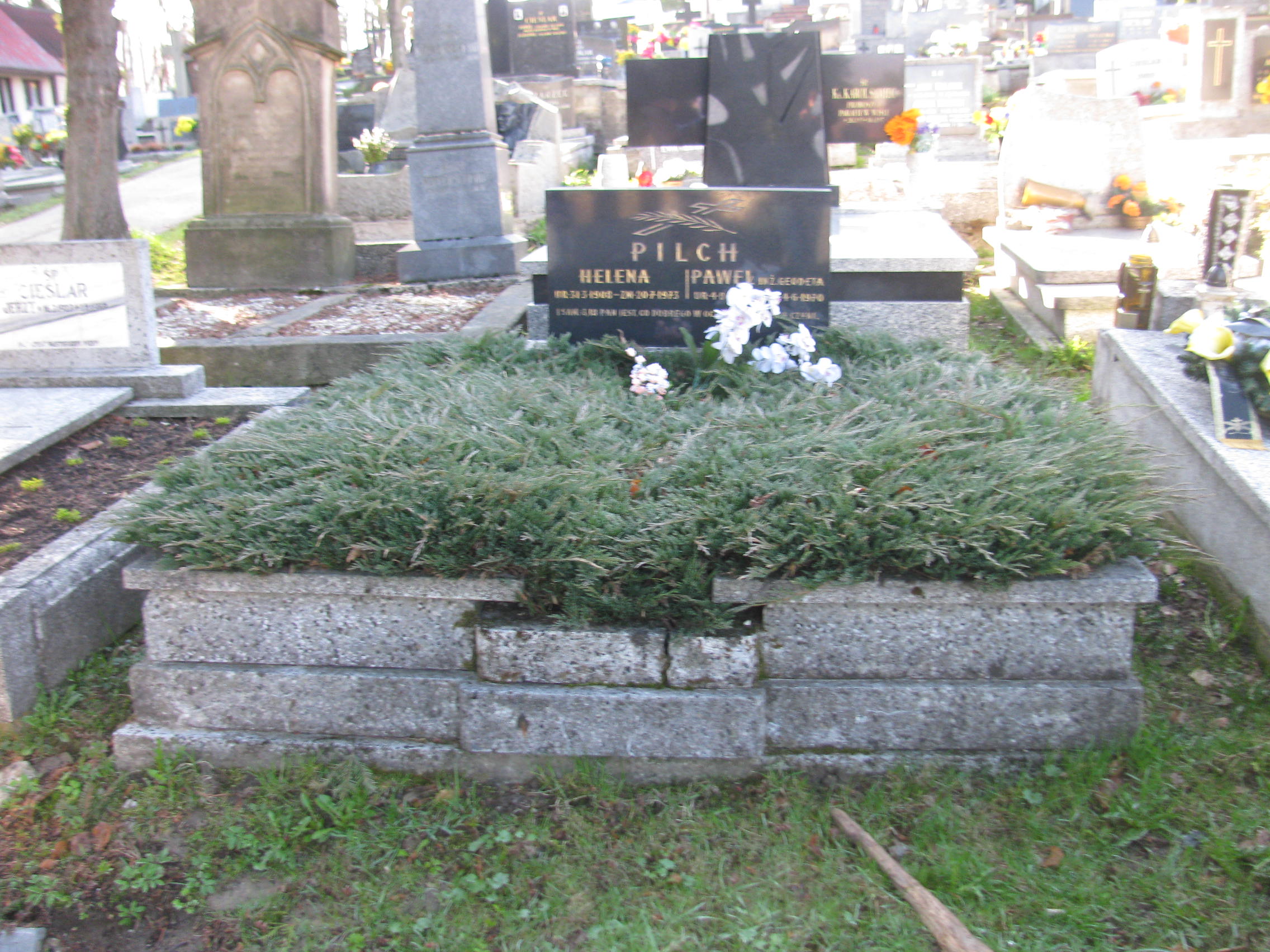 Grób Paweł Pilch