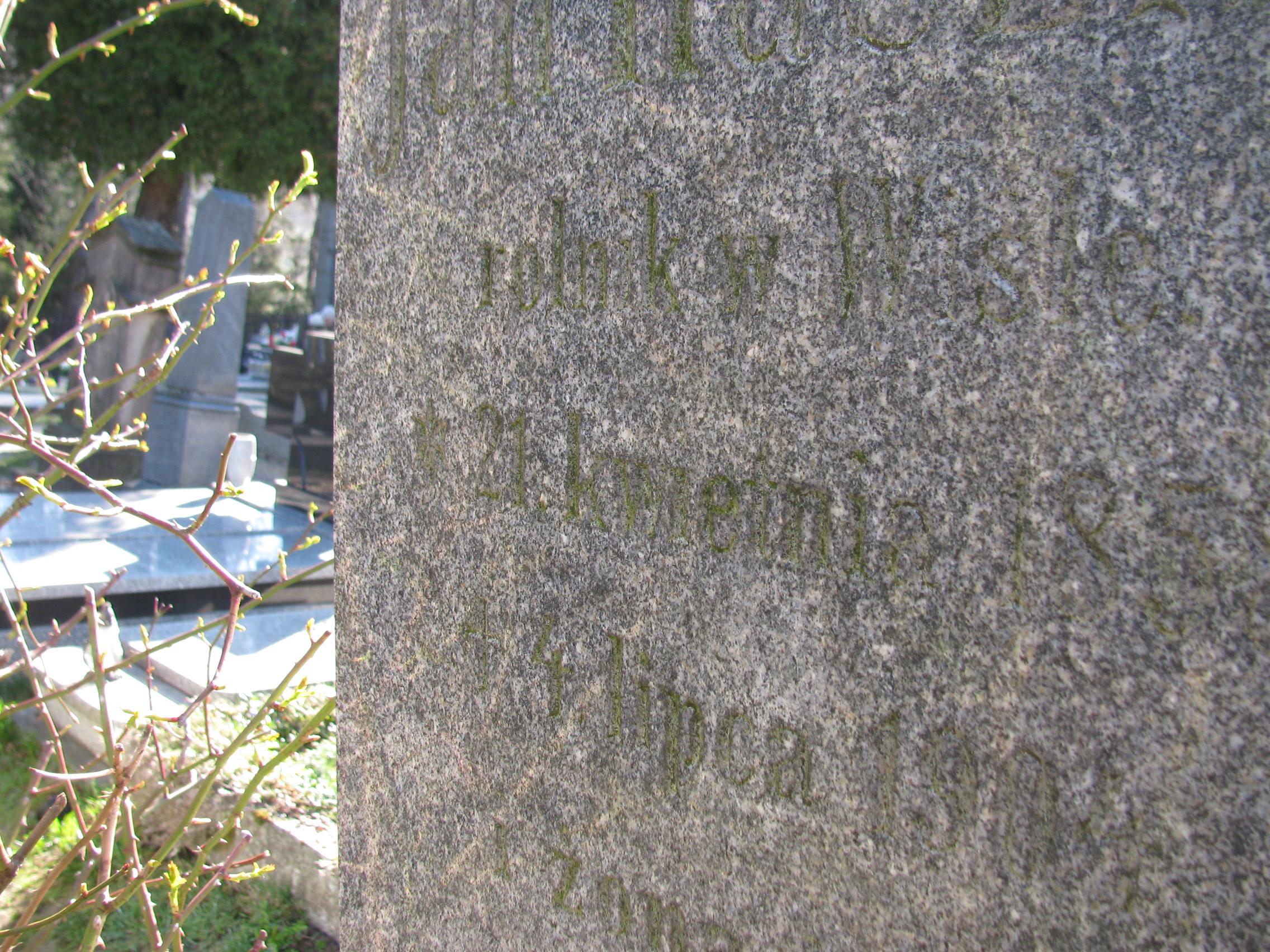 Anna Raszka 1894 Wisła ewangelicki - Grobonet - Wyszukiwarka osób pochowanych