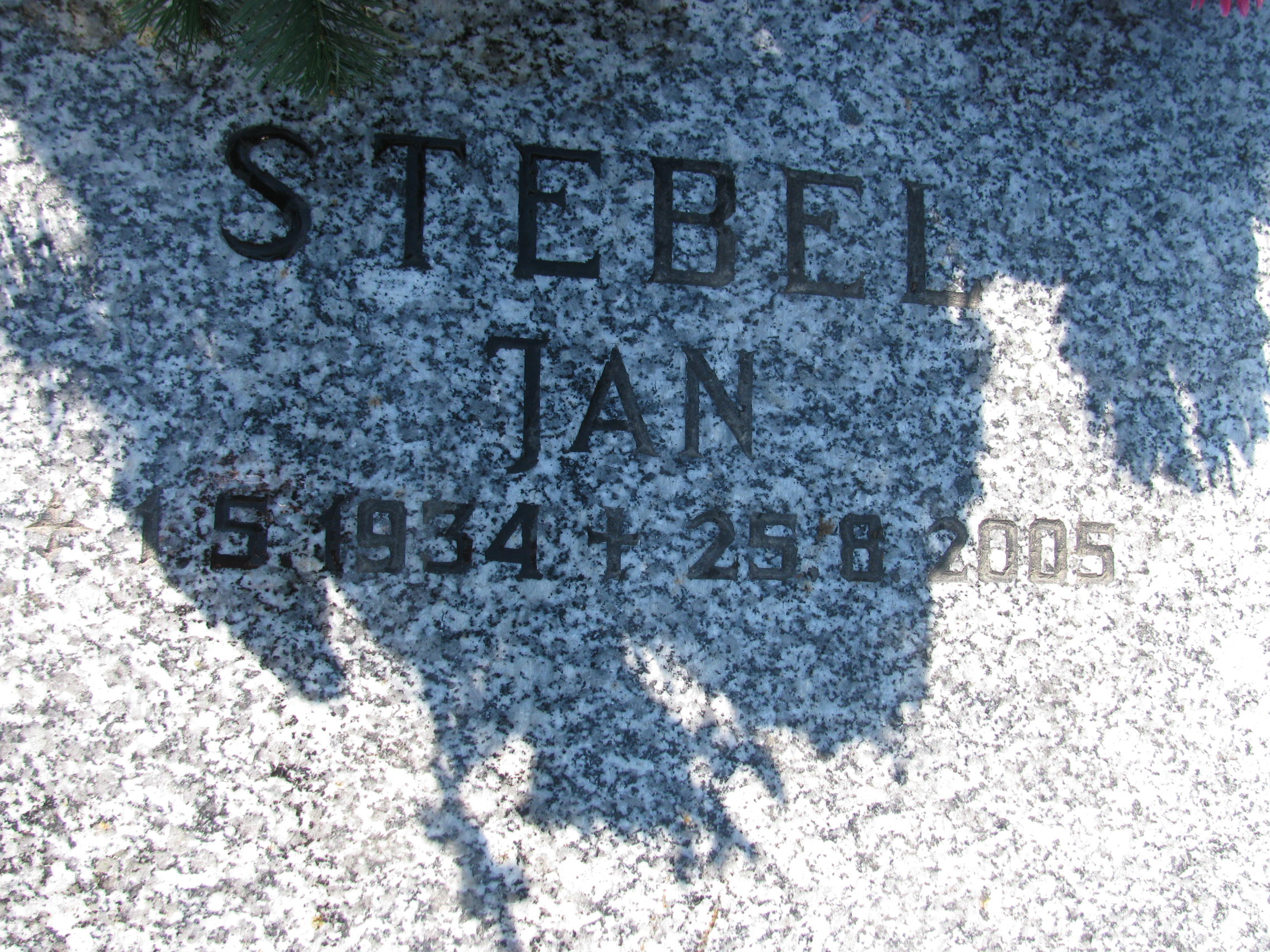 Jan Stebel 1934 Wisła ewangelicki - Grobonet - Wyszukiwarka osób pochowanych