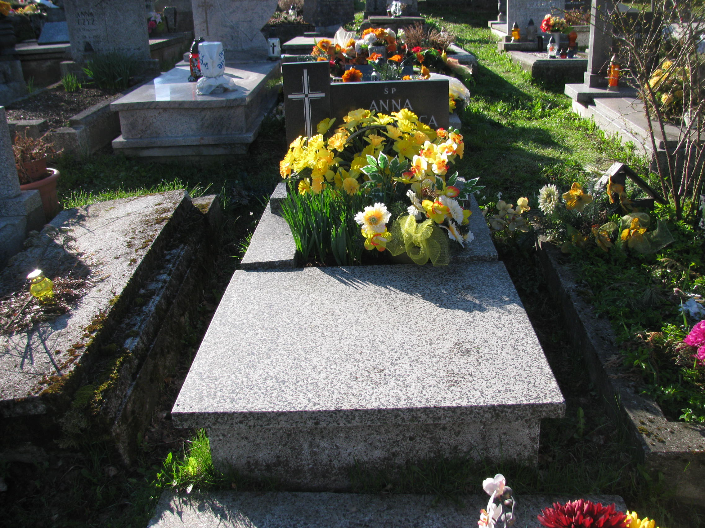 Grób Jerzy Mitręga