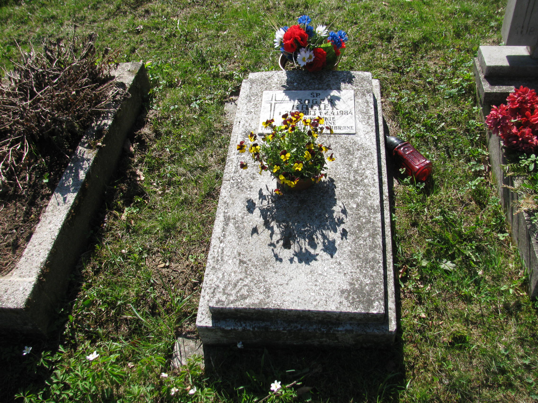 Grób Roger Gaciek