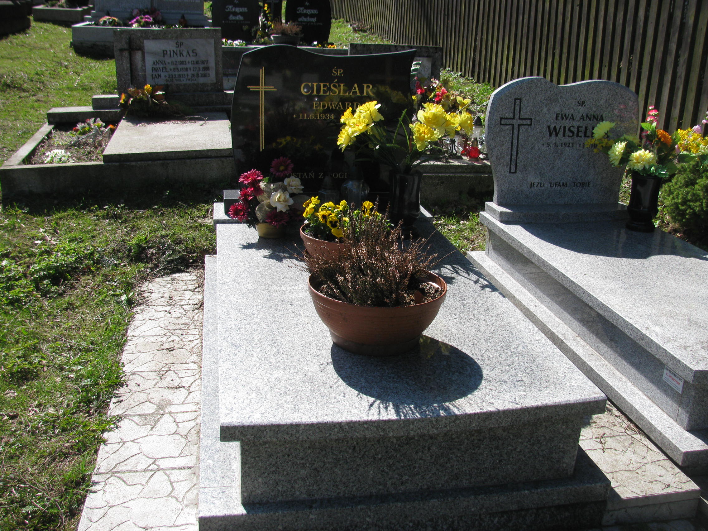 Grób Zofia Cieślar