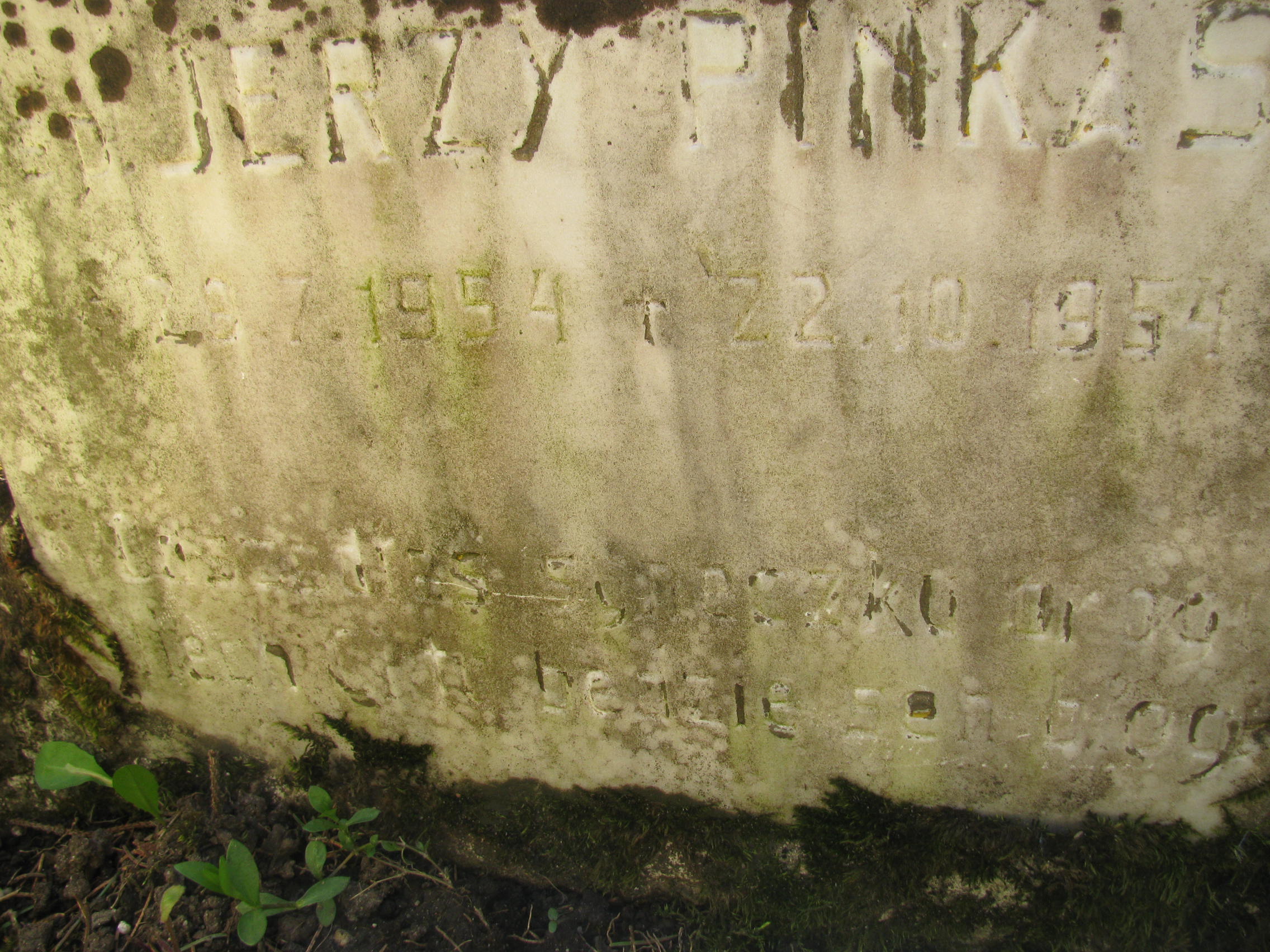 Jerzy Pinkas 1954 Wisła ewangelicki - Grobonet - Wyszukiwarka osób pochowanych