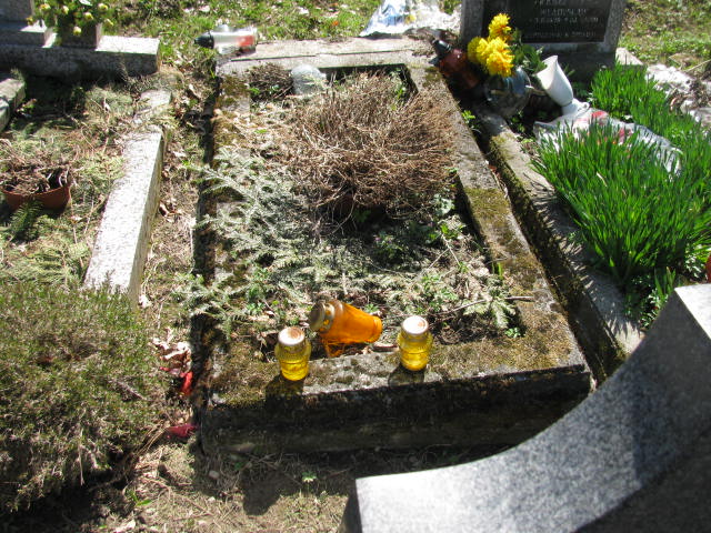 Ewa Kozok 1912 Wisła ewangelicki - Grobonet - Wyszukiwarka osób pochowanych