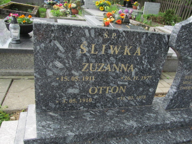 Otton Śliwka 1910 Wisła ewangelicki - Grobonet - Wyszukiwarka osób pochowanych