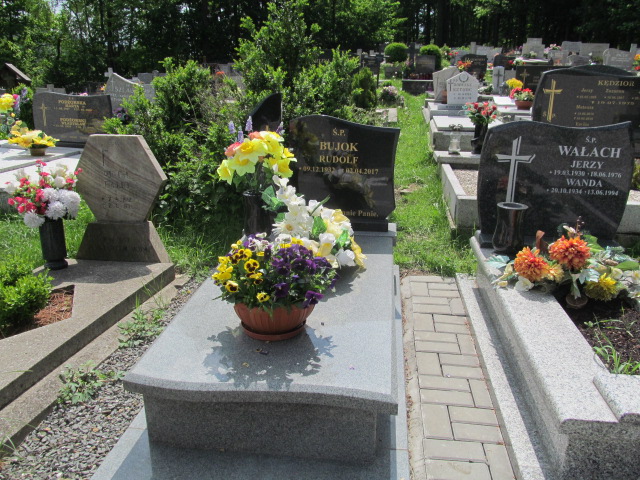 Grób Rudolf Bujok