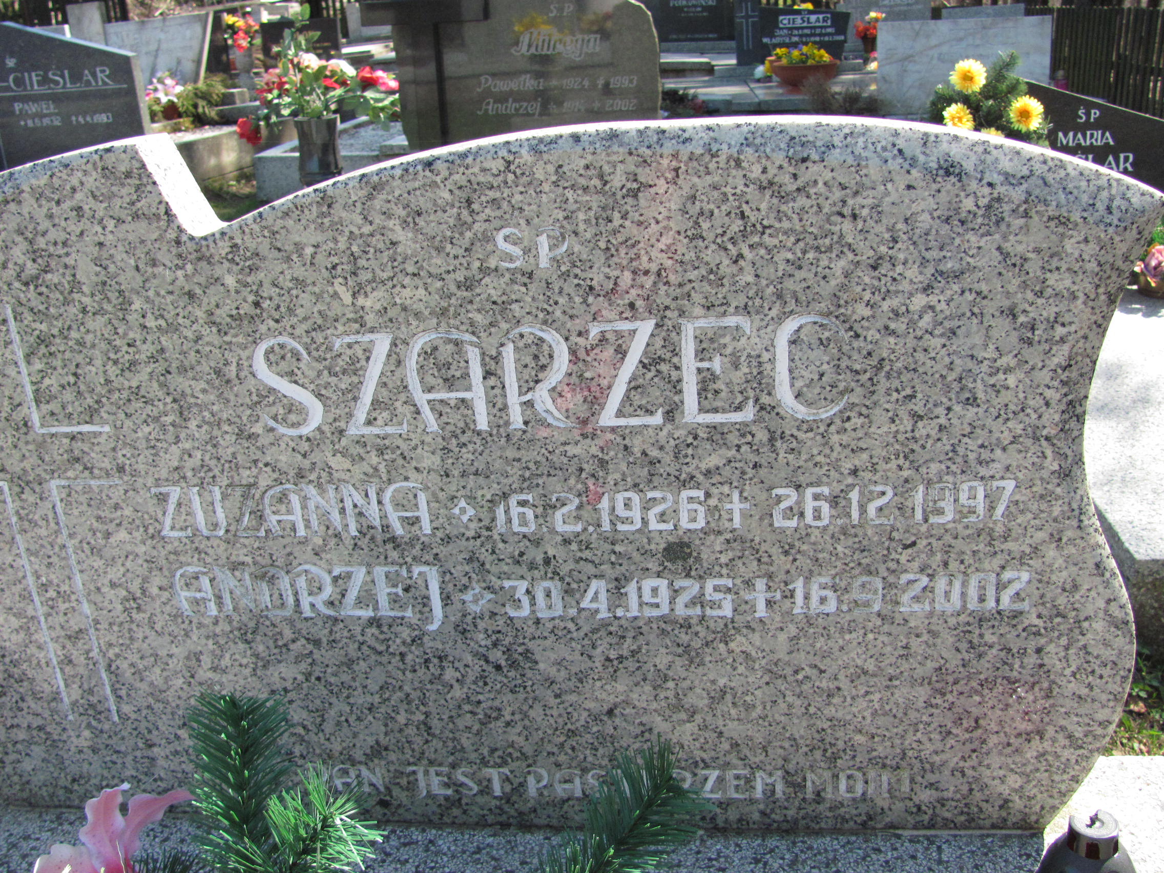 Andrzej Szarzec 1951 Wisła ewangelicki - Grobonet - Wyszukiwarka osób pochowanych