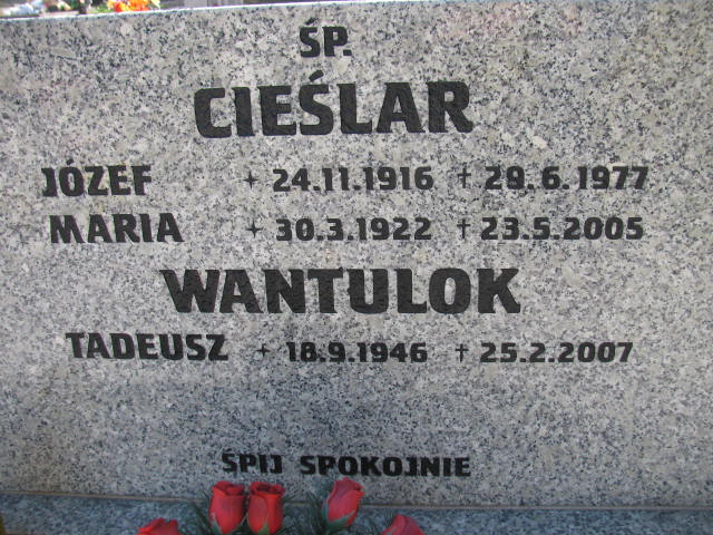 Grób Tadeusz Wantulok